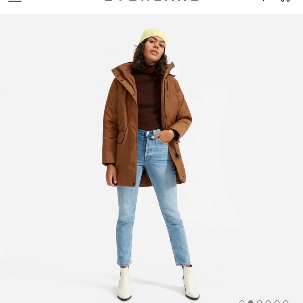 Everlane Renew Military Parka